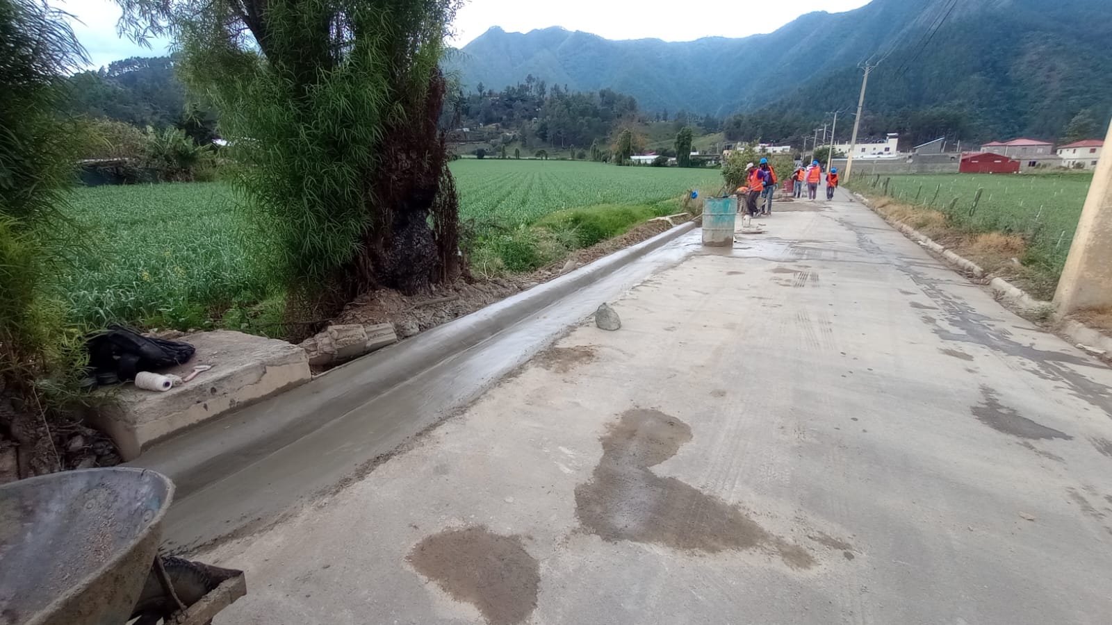 Alcaldía de Constanza Continúa Trabajando en las Auyamas