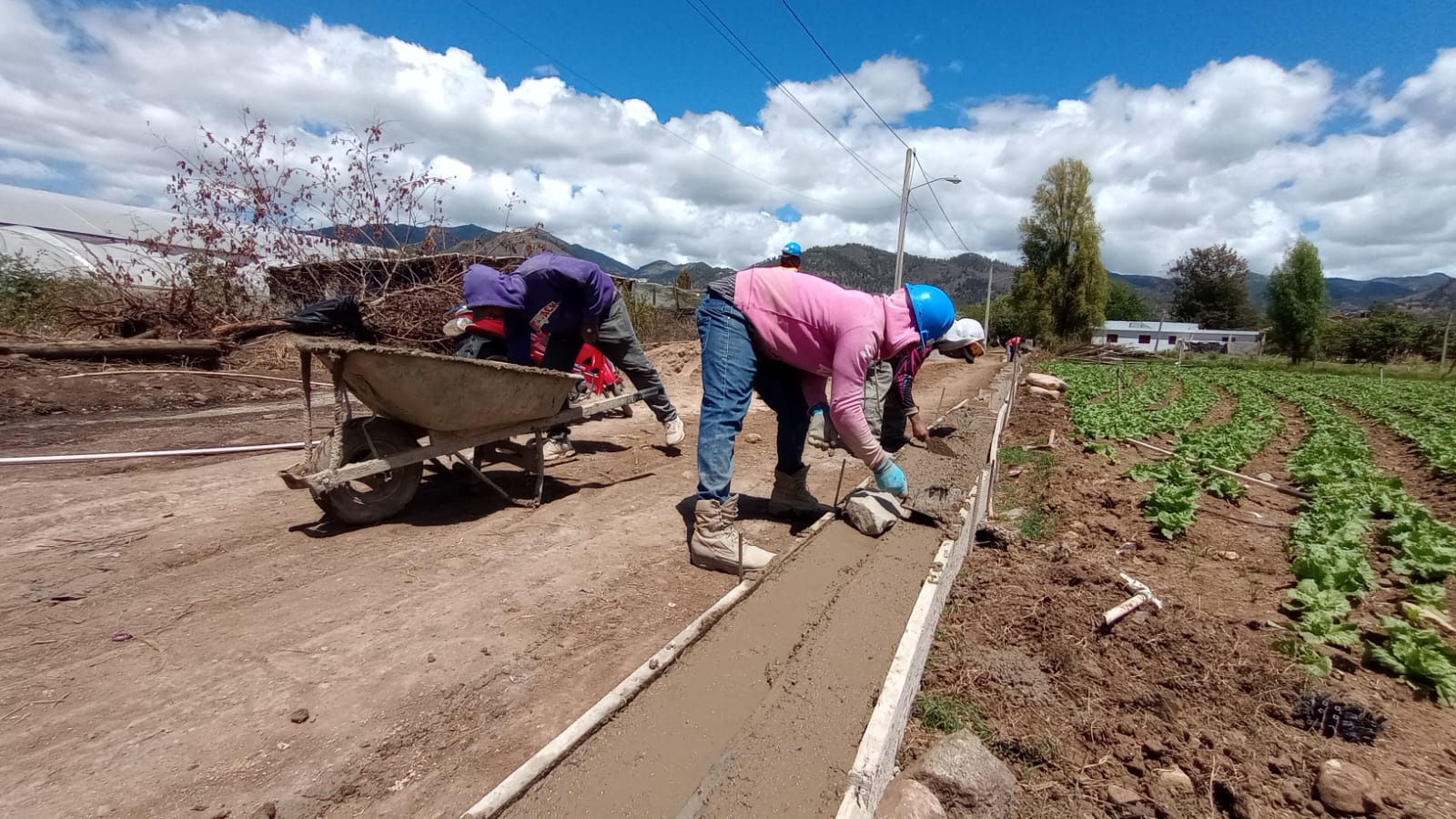 Construcción de Contenes