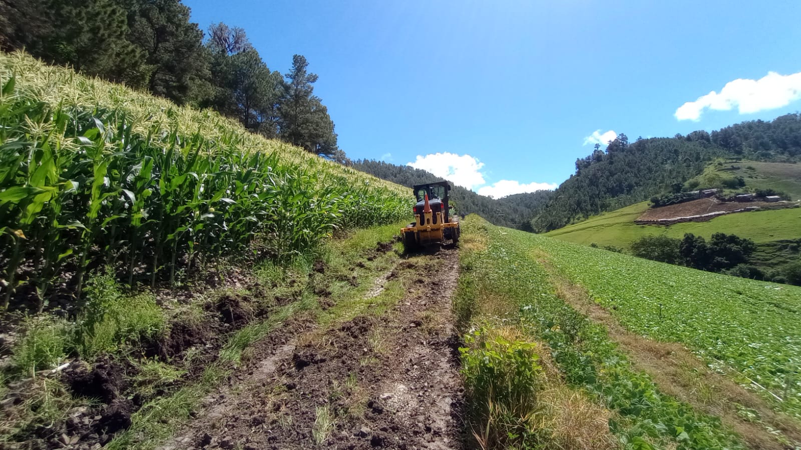 Ayuntamiento de Constanza, por instrucciones del alcalde Francisco Marte, lleva a cabo arreglo de caminos vecinales en Los Miguel